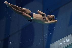 (SP)HUNGARY-BUDAPEST-FINA WORLD CHAMPIONSHIPS-DIVING-MEN'S 10M PLATFORM SEMIFINAL