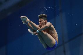 (SP)HUNGARY-BUDAPEST-FINA WORLD CHAMPIONSHIPS-DIVING-MEN'S 10M PLATFORM SEMIFINAL