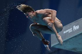 (SP)HUNGARY-BUDAPEST-FINA WORLD CHAMPIONSHIPS-DIVING-MEN'S 10M PLATFORM SEMIFINAL