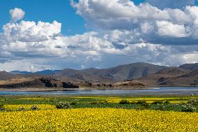 CHINA-TIBET-YAMDROK LAKE-SCENERY(CN)