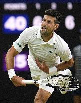 Tennis: Wimbledon championships