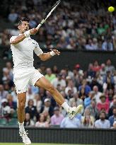 Tennis: Wimbledon championships