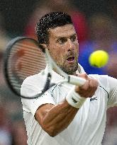 Tennis: Wimbledon championships