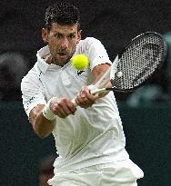 Tennis: Wimbledon championships