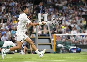 Tennis: Wimbledon championships