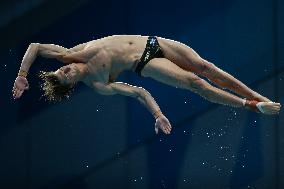 (SP)HUNGARY-BUDAPEST-FINA WORLD CHAMPIONSHIPS-DIVING-MEN'S 10M PLATFORM