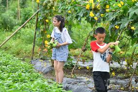 CHINA-HUNAN-CHILDREN-AGRARIAN CULTURE (CN)