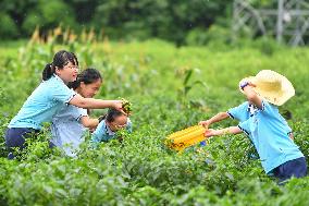 CHINA-HUNAN-CHILDREN-AGRARIAN CULTURE (CN)