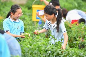 CHINA-HUNAN-CHILDREN-AGRARIAN CULTURE (CN)