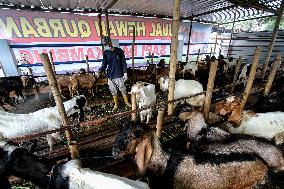 INDONESIA-FOOT AND MOUTH DISEASE-MEASURES