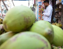 INDIA-AGARTALA-DAILY LIFE-COCONUT