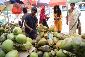 INDIA-AGARTALA-DAILY LIFE-COCONUT