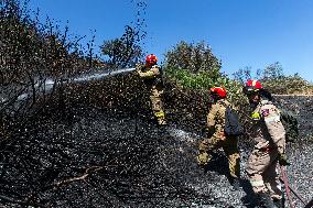 GREECE-SCHIMATARI-WILDFIRES