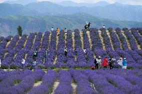 Xinhua Headlines: Tourism resurgence tells of a flourishing, stable, open Xinjiang