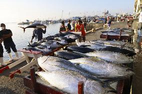 Yellowfin tuna at Philippine market