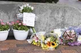 Mass shooting in Illinois