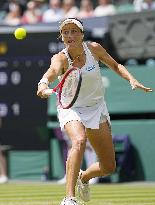 Tennis: Wimbledon championships