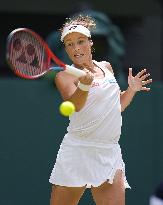Tennis: Wimbledon championships