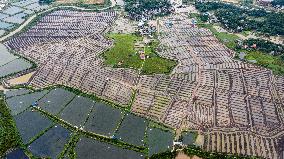 CHINA-GUANGXI-VILLAGES-AERIAL SCENERY (CN)