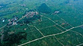 CHINA-GUANGXI-VILLAGES-AERIAL SCENERY (CN)