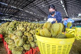 Xinhua Headlines: Lower tariffs, faster customs clearance -- China, ASEAN share bounty of RCEP trade facilitation package