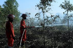 INDONESIA-SOUTH SUMATRA-PEATLAND-FIRE