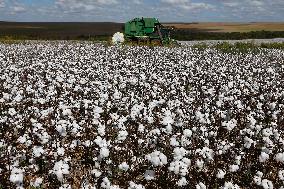 BRAZIL-GOIAS-COTTON-HARVEST