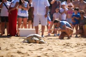 MALTA-MANIKATA-TURTLE-RELEASE