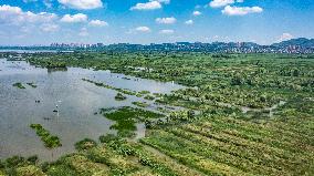 CHINA-GUIZHOU-WEINING-CAOHAI NATIONAL NATURE RESERVE (CN)