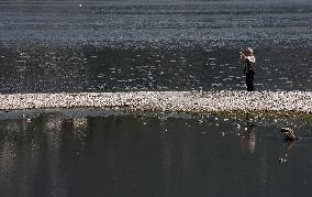 ITALY-LAKE COMO-LOW LEVEL