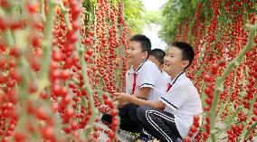 #CHINA-SUMMER VACATION-CHILDREN-ACTIVITIES (CN)