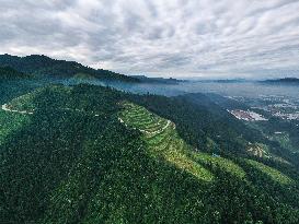 CHINA-GUIZHOU-RONGJIANG-WATERMELON-ECONOMY (CN)