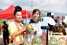 #CHINA-GUIZHOU-RONGJIANG-WATERMELON-ECONOMY (CN)