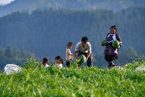 CHINA-GUIZHOU-RONGJIANG-WATERMELON-ECONOMY (CN)