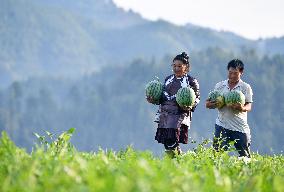 CHINA-GUIZHOU-RONGJIANG-WATERMELON-ECONOMY (CN)