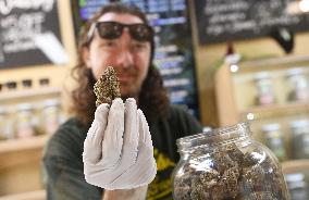 Cannabis store OG in Eugene