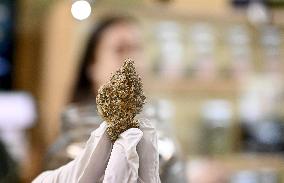 Cannabis store OG in Eugene