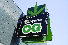 Cannabis store OG in Eugene