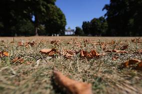 BELGIUM-BRUSSELS-HEAT WAVE