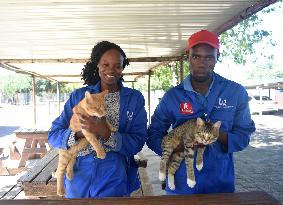 BOTSWANA-GABORONE-NEGLECTED ANIMALS-RESCUING