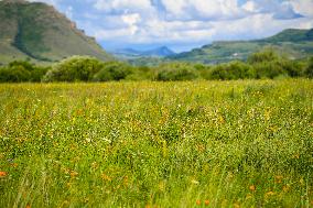 CHINA-INNER MONGOLIA-XILINGOL-GRASSLAND (CN)