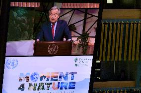 UN-THEMATIC DEBATE-MOMENT FOR NATURE