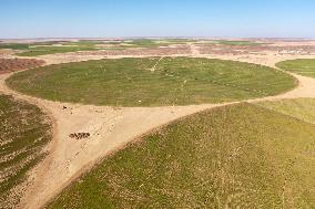 EGYPT-MINYA-CHINA-DESERT-FARMING