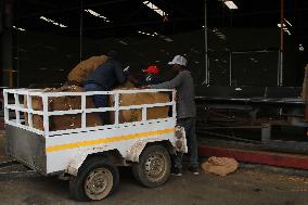 ZIMBABWE-HARARE-TOBACCO-AUCTION SEASON