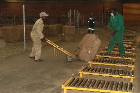 ZIMBABWE-HARARE-TOBACCO-AUCTION SEASON