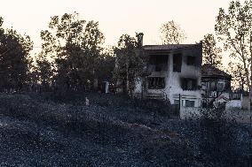 GREECE-ATHENS-WILDFIRE-AFTERMATH
