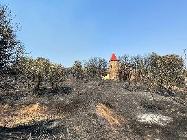 SPAIN-HEATWAVE-WILDFIRES