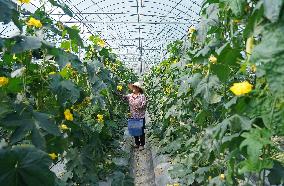 Xinhua Headlines: 10 years on, old revolutionary base embarks on new development path