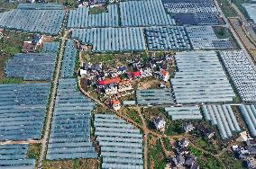 Xinhua Headlines: 10 years on, old revolutionary base embarks on new development path