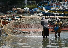 SRI LANKA-NEGOMBO-FISHING VILLAGE